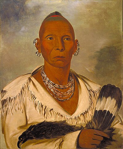 Sauk chief Black Hawk