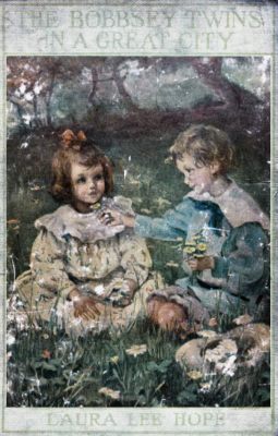 The Bobbsey Twins in a Great City