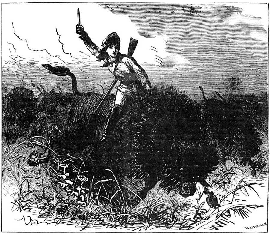 Beadle's Boy's Library of Sport, Story and Adventure, Vol. I, No. 1.: Adventures of Buffalo Bill from Boyhood to Manhood