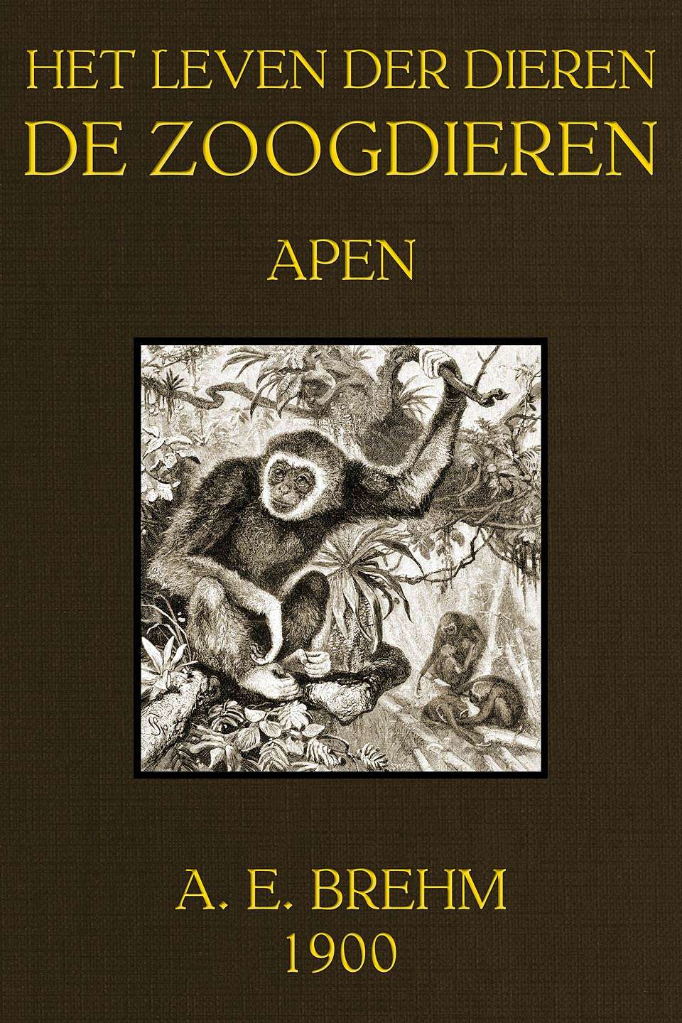 Het Leven Der Dieren: Deel 1, Hoofdstuk 01: De Apen