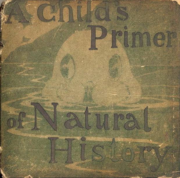 A Child's Primer of Natural History