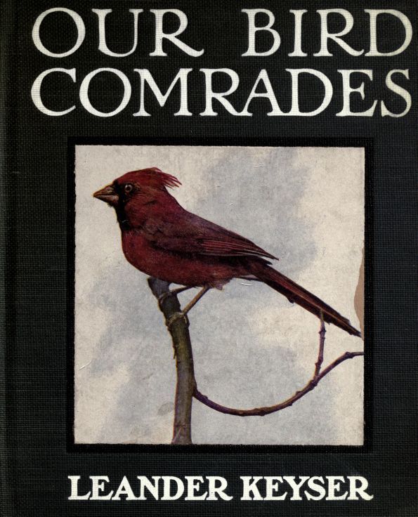 Our Bird Comrades