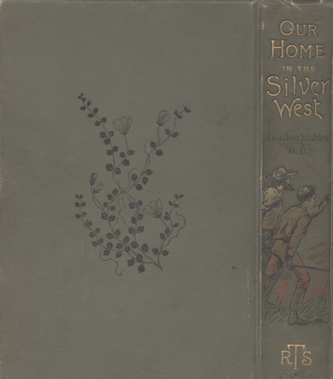 Our Home in the Silver West: A Story of Struggle and Adventure