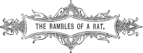 The Rambles of a Rat