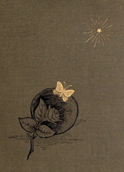 An Ambitious Woman: A Novel