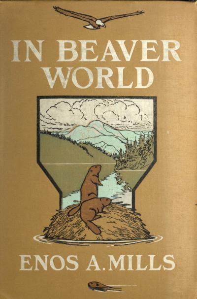 In Beaver World