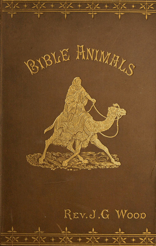 Bible Animals: Being a Description of Every Living Creature Mentioned in the Scripture, from the Ape to the Coral.
