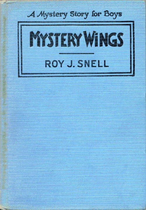 Mystery Wings: A Mystery Story for Boys