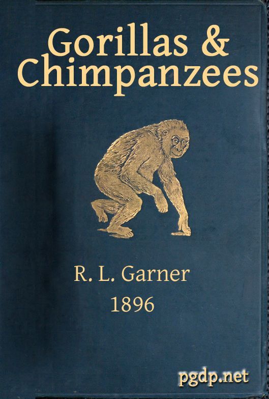 Gorillas & Chimpanzees