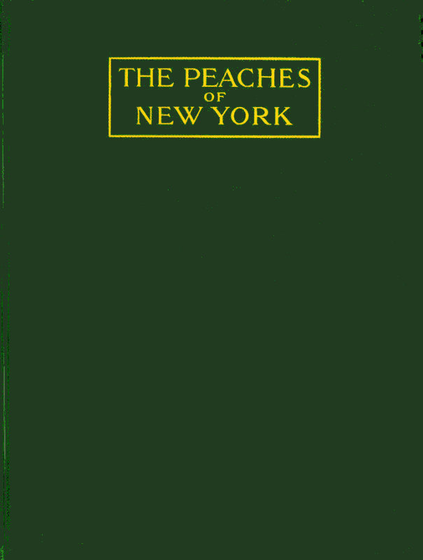 The Peaches of New York