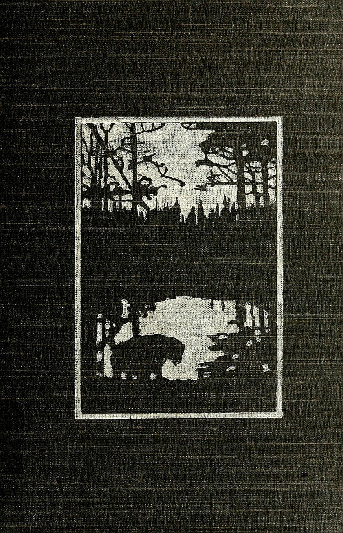 The Heart of the Ancient Wood