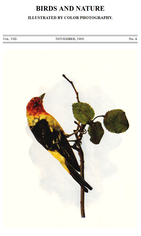 Birds and Nature, Vol. 08, No. 4, November 1900illustrated by Color Photography