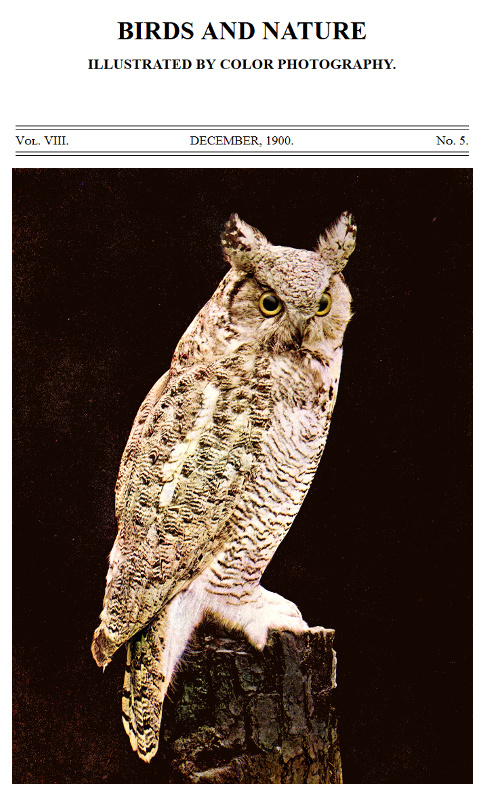 Birds and Nature, Vol. 08, No. 5, December 1900illustrated by Color Photography