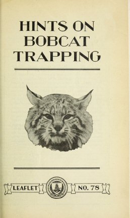 Hints on Bobcat Trapping