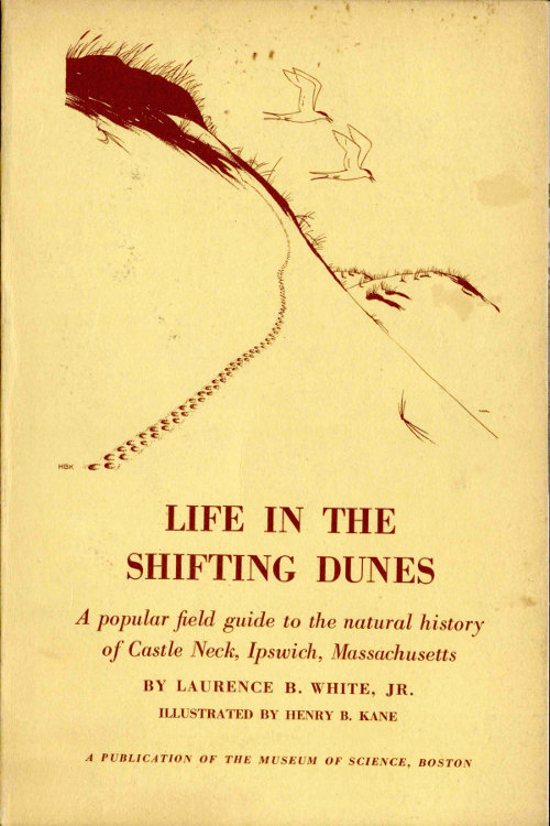 Life in the Shifting Dunes: A Popular Field Guide to the Natural History of Castle Neck, Ipswich, Massachusetts