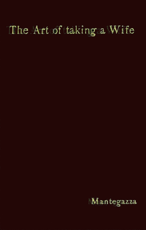 The Art of Taking a Wife