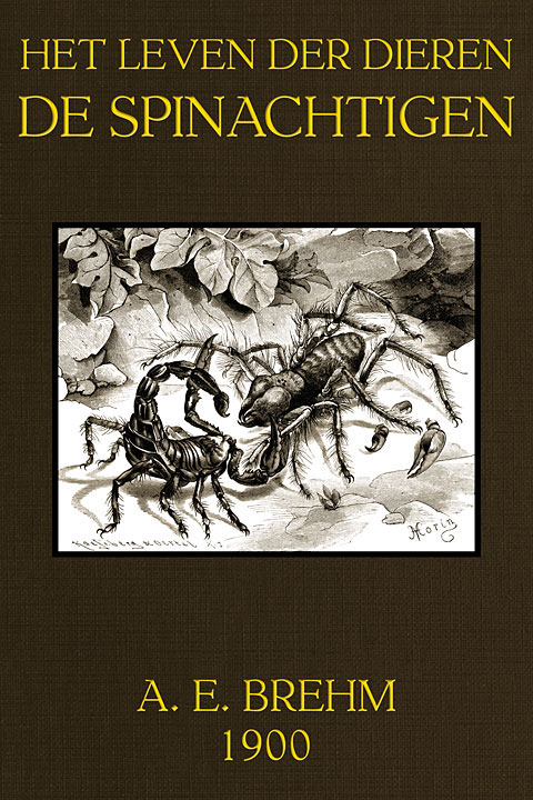 Het Leven der Dieren, Deel 3, Hoofdstuk 5: De Spinachtigen