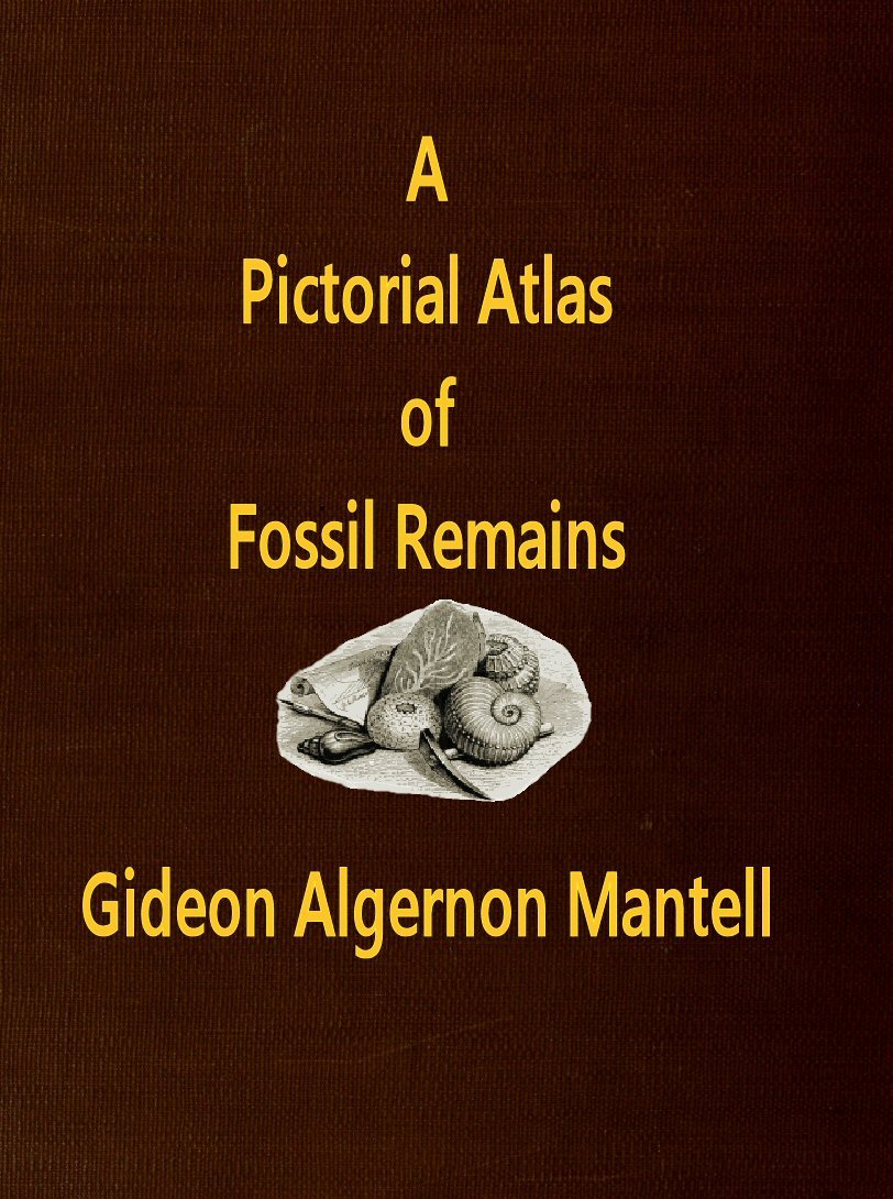 A Pictorial Atlas of Fossil Remains, consisting of coloured illustrations…