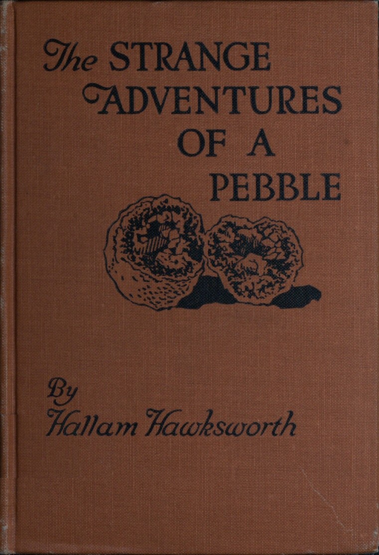 The Strange Adventures of a Pebble