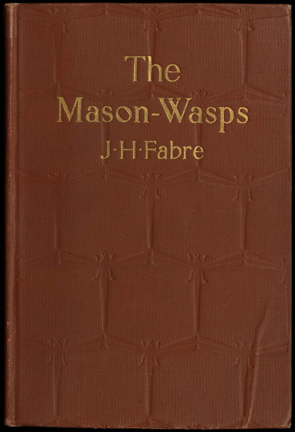 The Mason-Wasps