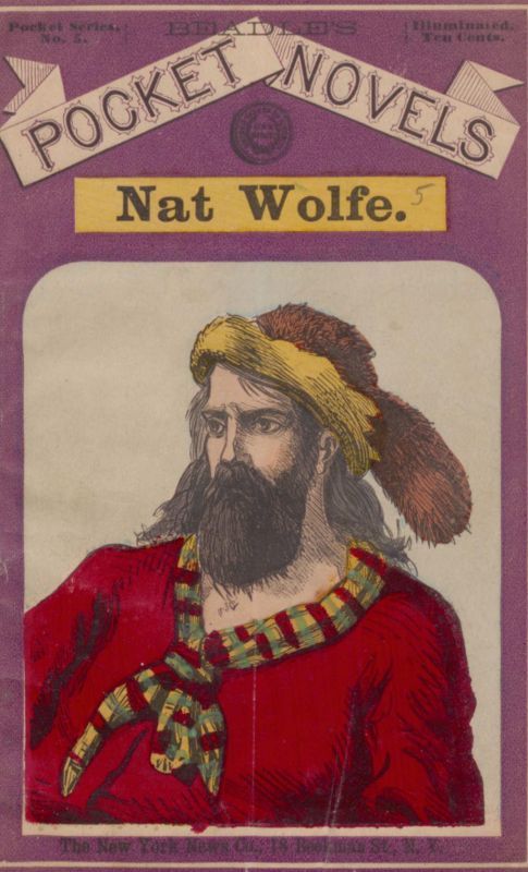 Nat Wolfe; Or, The Gold Hunters: A Romance of Pike's Peak and New York