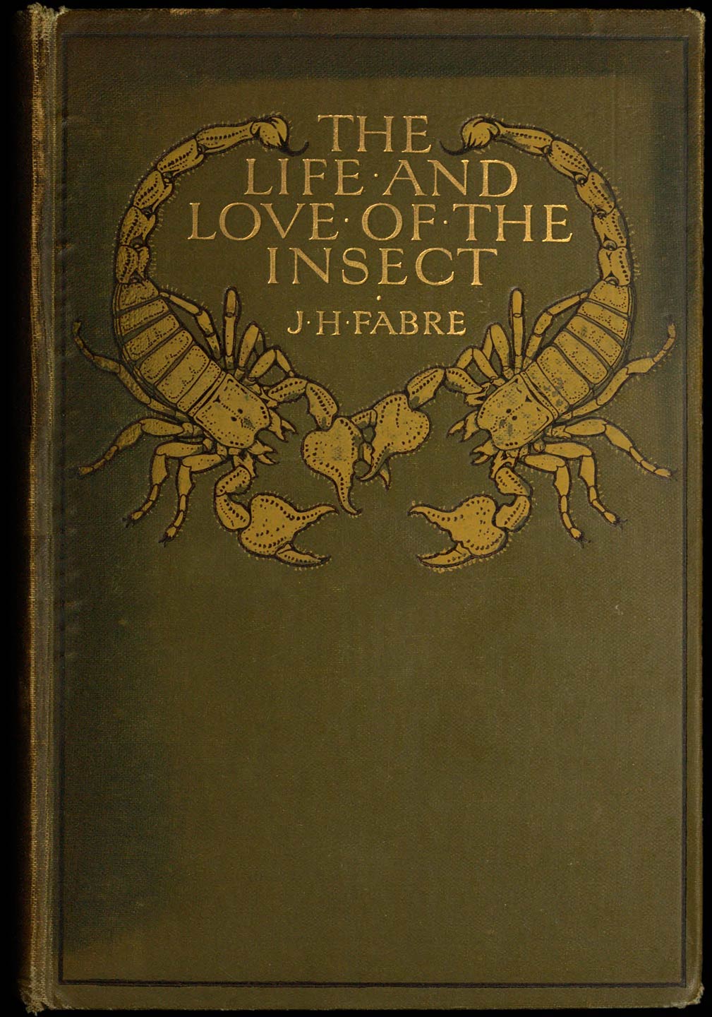 The Life and Love of the Insect