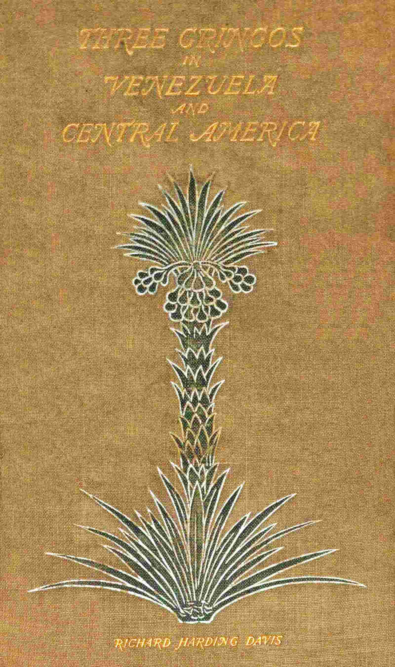 Three Gringos in Venezuela and Central America