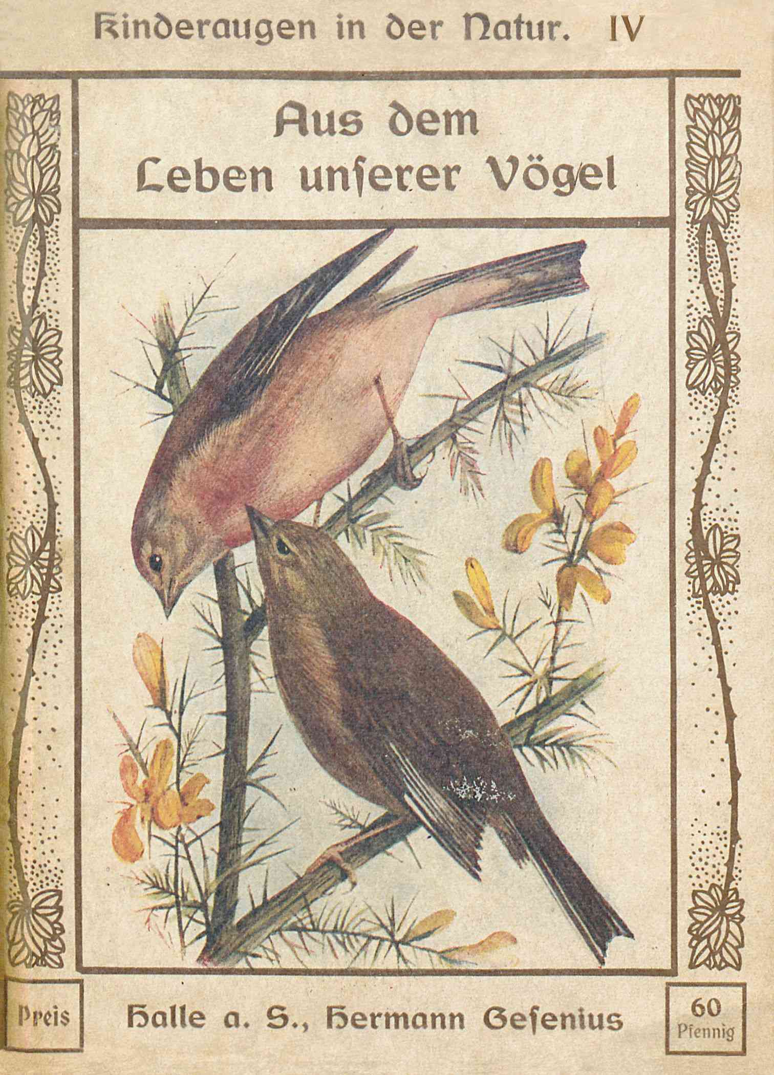 Aus Dem Leben Unserer Vögel