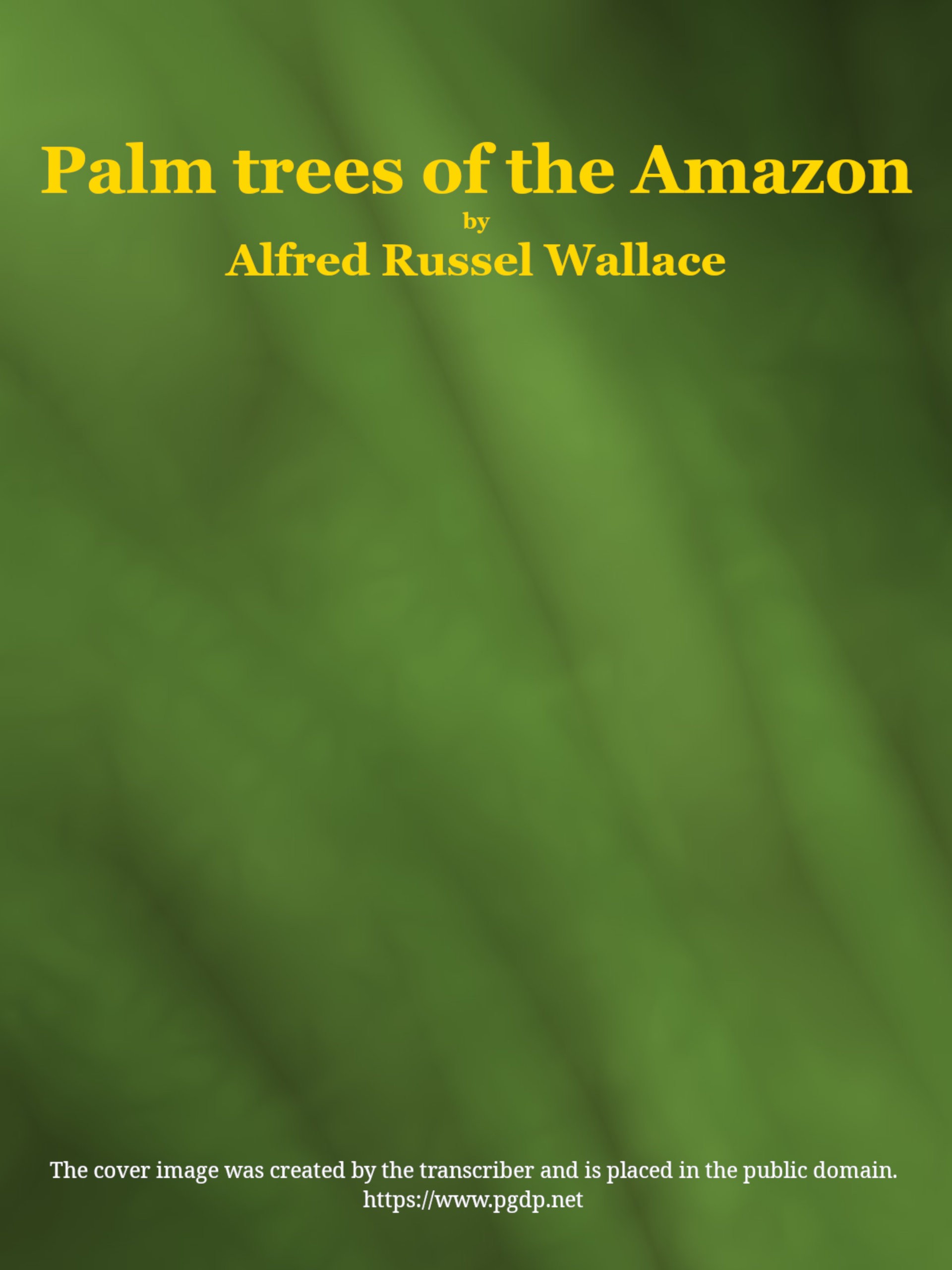 Palm Trees of the Amazon and Their Uses