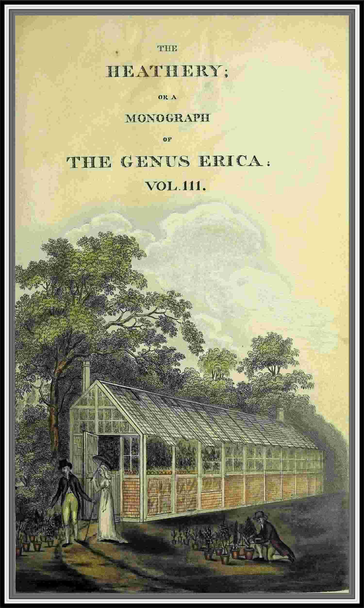 The Heathery; Or, a Monograph of the Genus Erica. Vol. 3