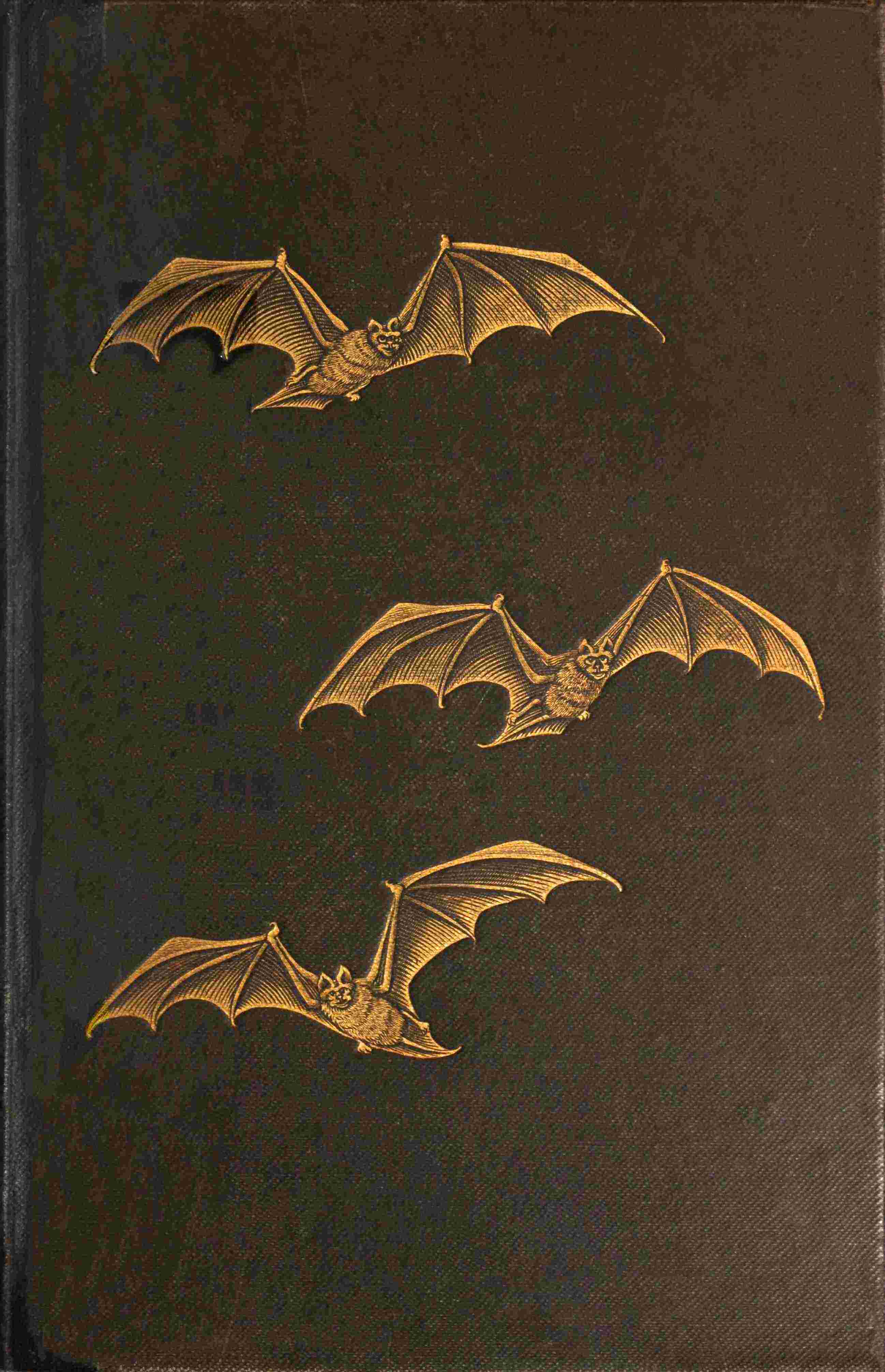 The Attaché at Peking