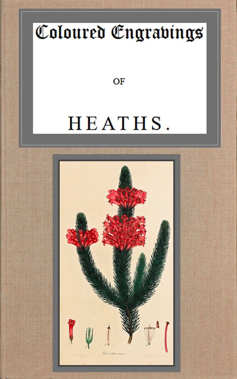 Coloured Engravings of Heaths; Vol. 1