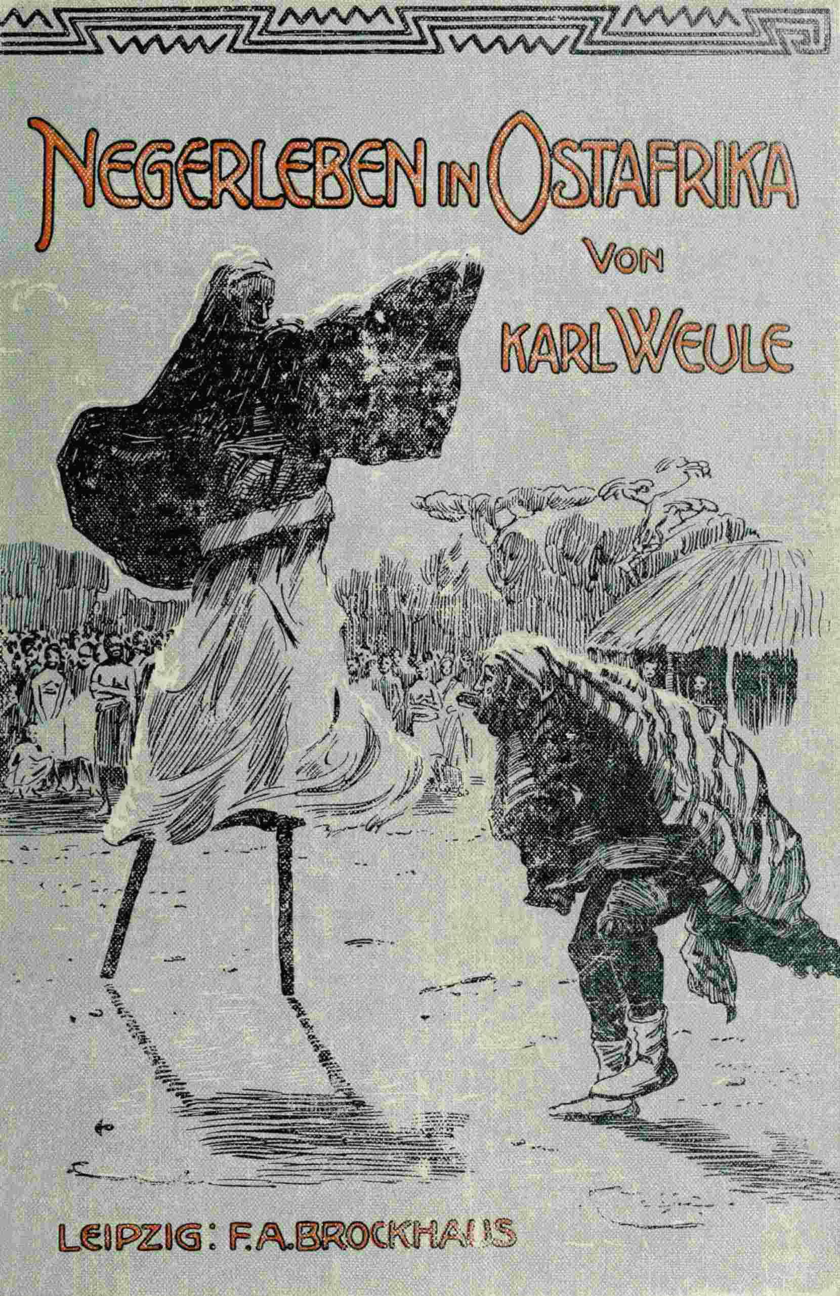 Negerleben in Ostafrika: Ergebnisse Einer Ethnologischen Forschungsreise