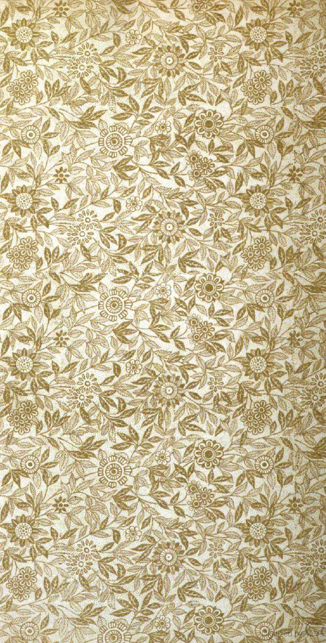 Sweet Cicely — or Josiah Allen as a Politician