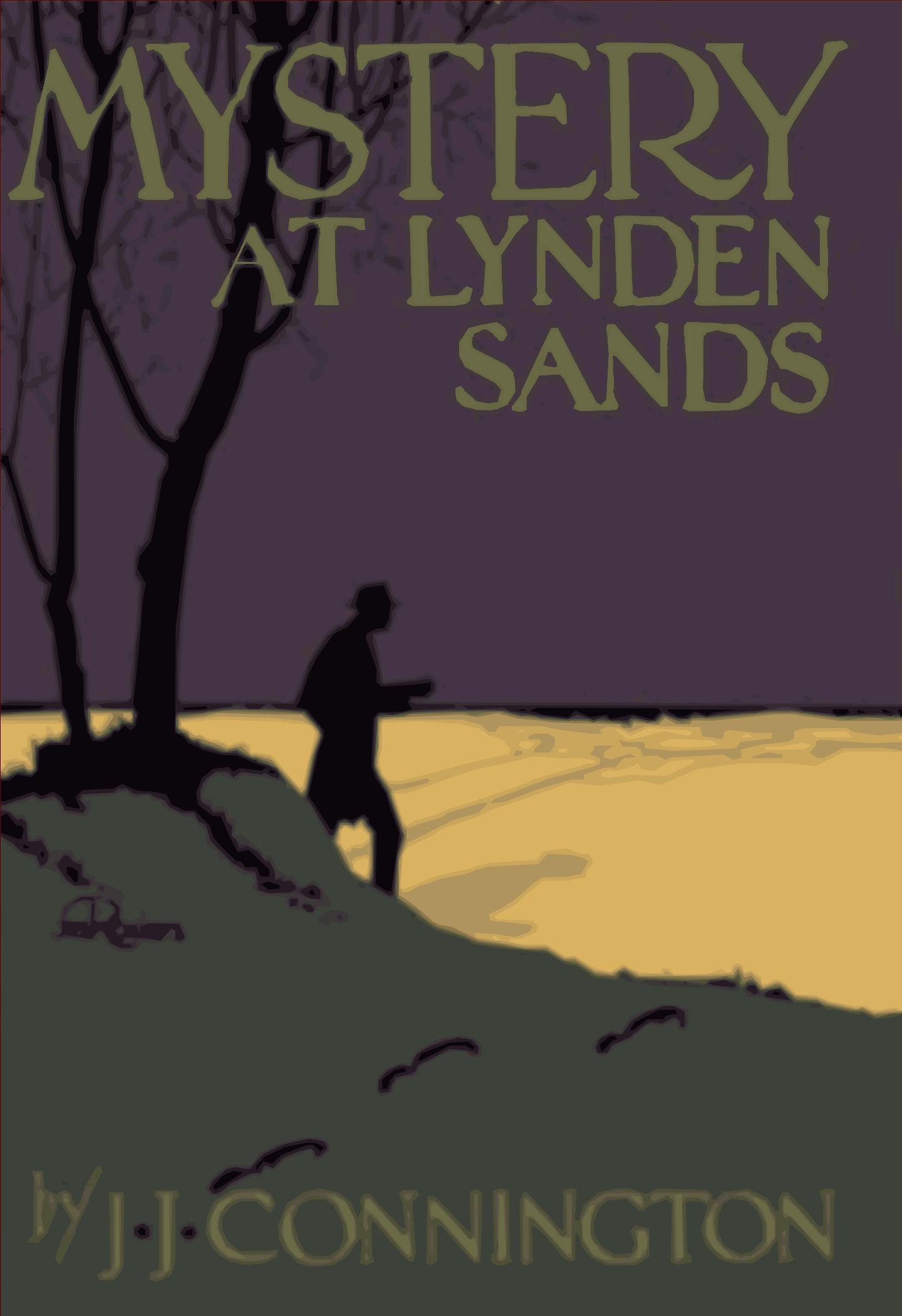 Mystery at Lynden Sands