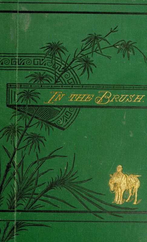 In the Brush: Or, Old-Time Social, Political, and Religious Life in the Southwest