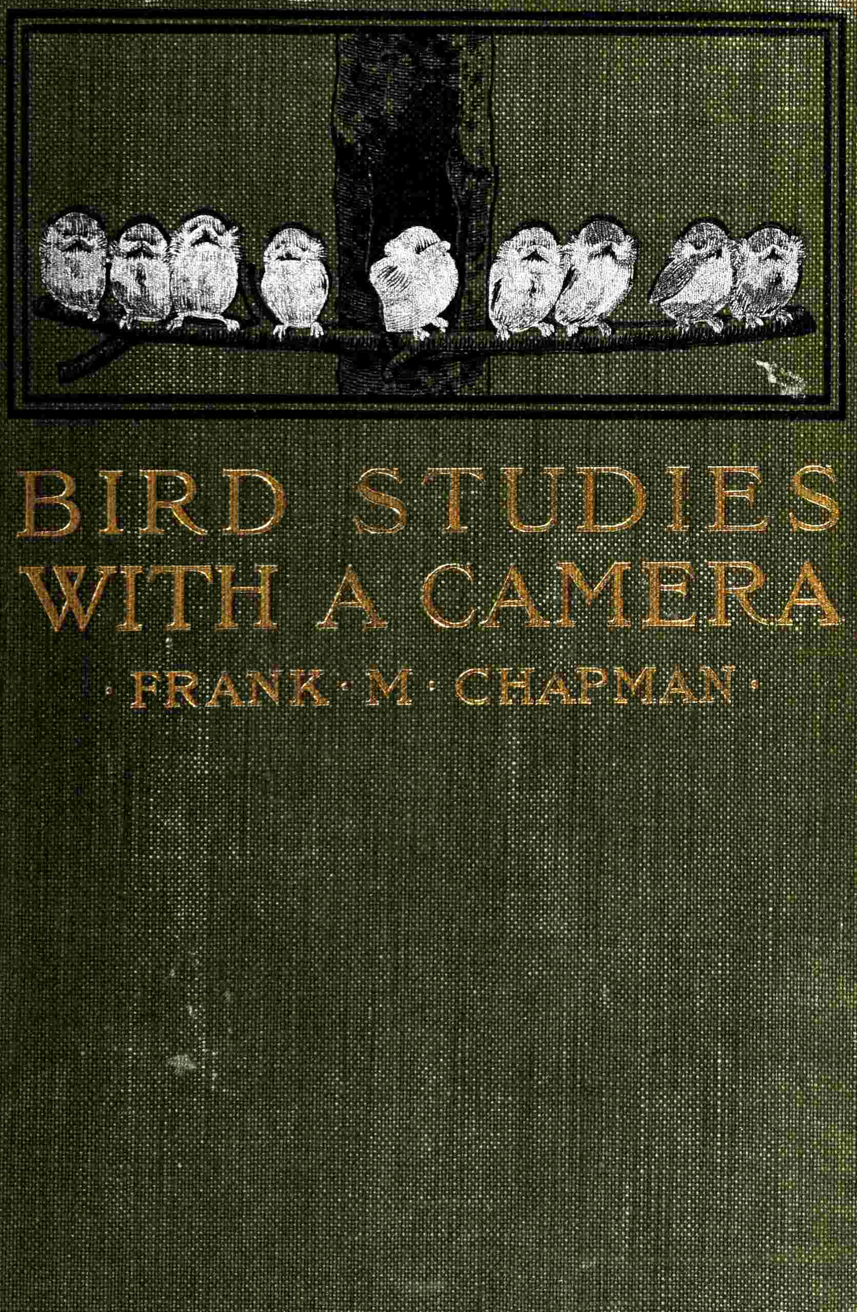 Bird Studies with a Camera: With Introductory Chapters on the Outfit and Methods of the Bird Photographer