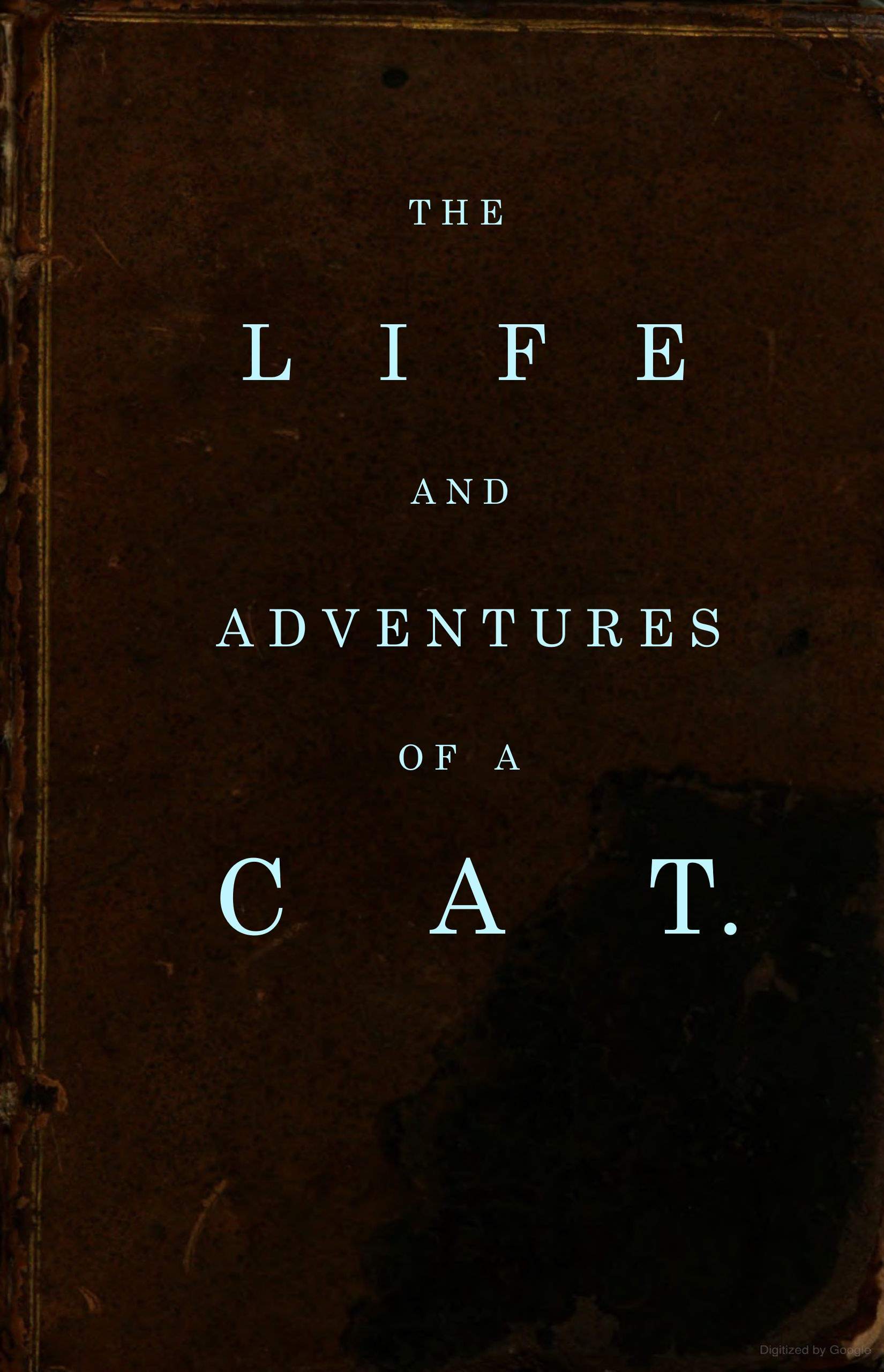 The Life and Adventures of a Cat
