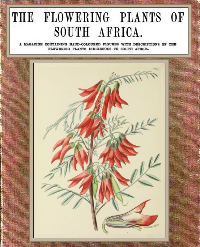 The Flowering Plants of South Africa; Vol. 5