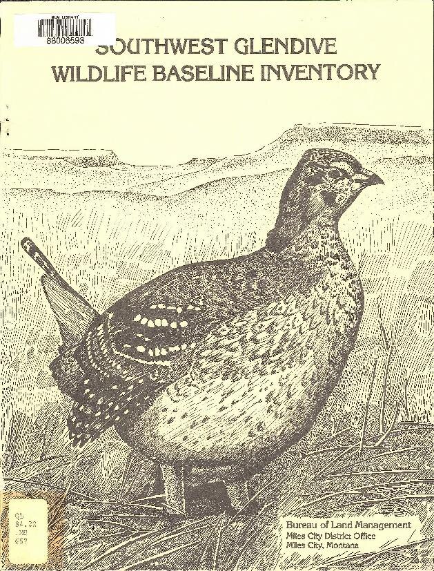 Animals-Wild-Mammals